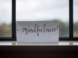 Mindfulness Program