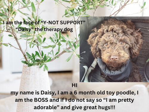 Y-notsupport